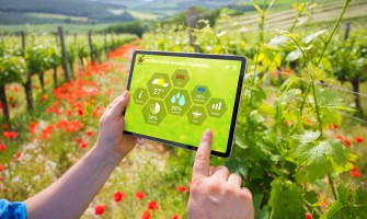 Il Futuro dell'Agricoltura Sostenibile: Innovazioni e Prospettive